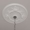 Ekena Millwork Flower Ceiling Medallion (Fits Canopies up to 3 7/8"), 27"OD x 1 1/8"P, Primed White CM27FL - alternate 5